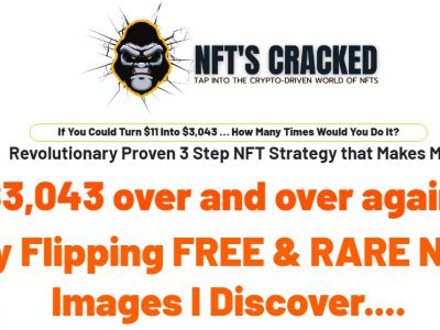 NFTS CRACKED REVIEW