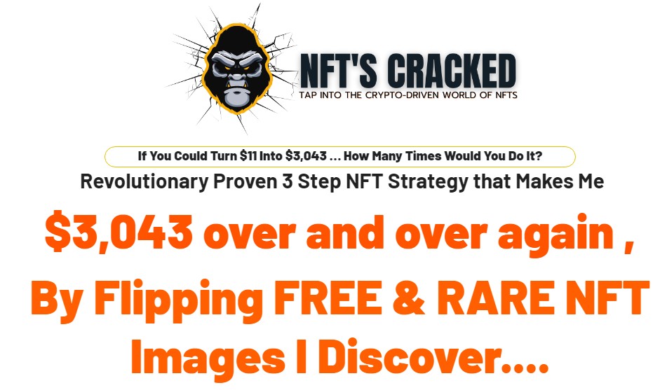 NFTS CRACKED REVIEW