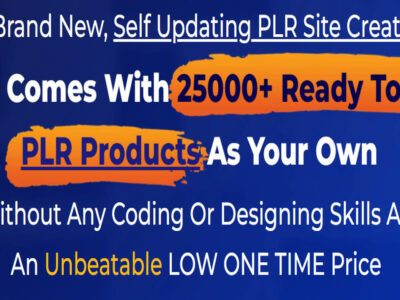 PLR Sites Review