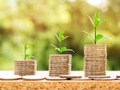 Exploring the World of Lenders: Who Loans Money and Why?