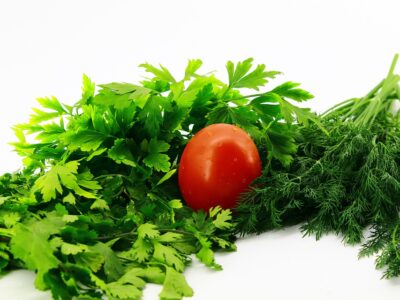 Transform Your Body in a Month: A Fast Weight Loss Diet