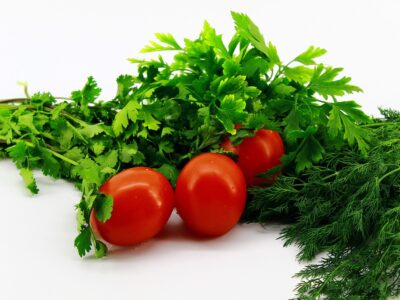 Fast and Effective Weight Loss Methods to Get Your Body in Shape