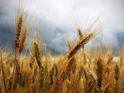 Finding Relief from Tinnitus and Headaches: Treatment Options and Coping Strategies